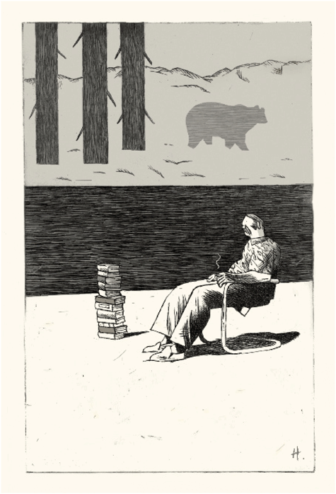 Illustrations